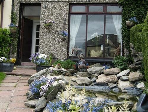 Number 43 Bed & Breakfast Londonderry Ngoại thất bức ảnh